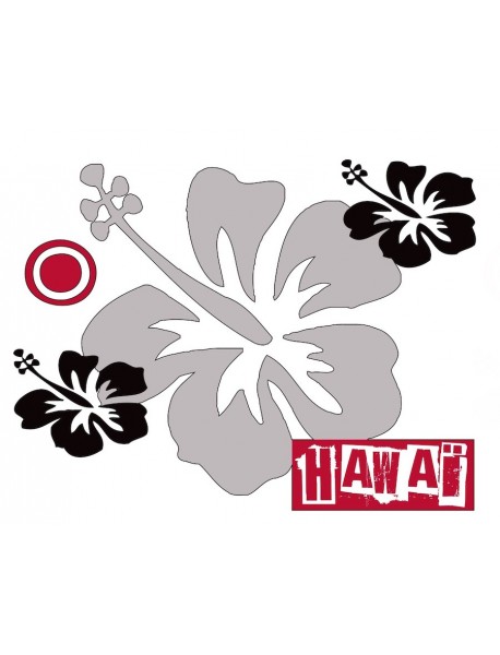  Hawai